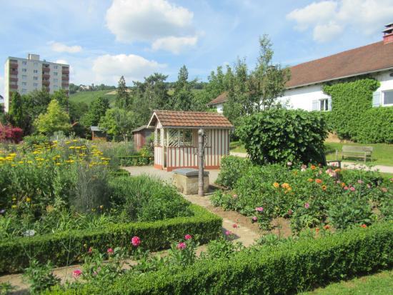 Botanischen Obstgarten